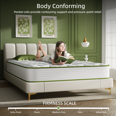 Big Promotion Crystli Green Avocado Collection 10 Inch Responsive  Memory Foam Innerspring Mattress(US)